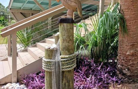 Dog Friendly-Short Walk to Beach-Canal Front-Screened Porch-Peaceful - Foto 50