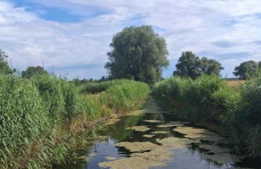 Haus Möhtlitz - Foto 21