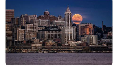 Contemporary Marine 2bed 1bath apartment in Kent - Foto 2