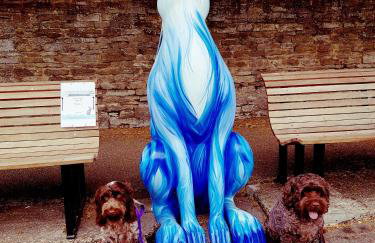 Tudor Cottage - Foto 33