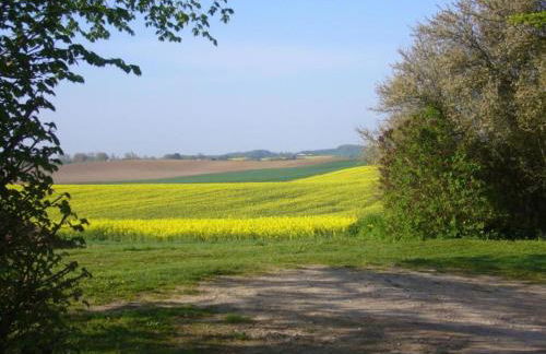 Wohnung nahe Ostsee Kühlungsborn - Foto 34
