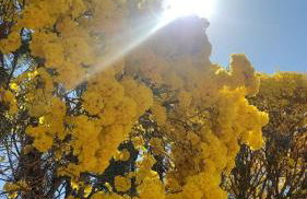 Eco Pousada Por do Sol - Foto 72