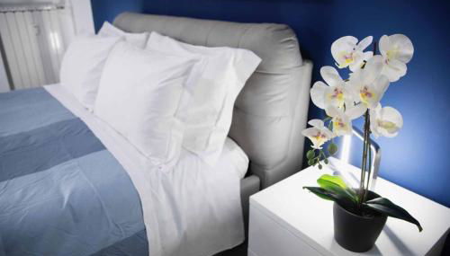 Casa Rosita - Foto 2