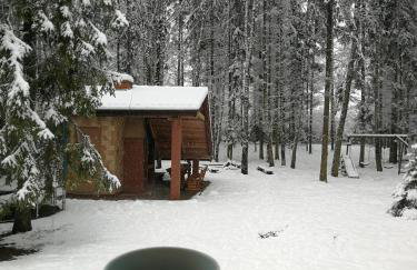 Willa Poziomka, Mielno, Grunwald - Foto 37