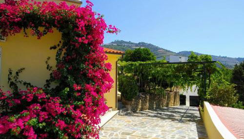 Quinta da Galeira - Foto 2