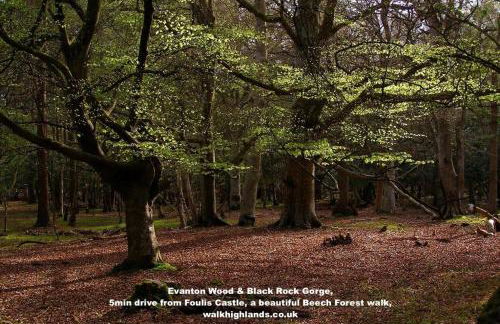 Foulis Castle Gate Lodge - Foto 24