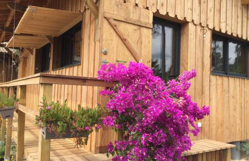 Gîte de l'océan, 3 étoiles - Les cabanes océanes, Montalivet - Foto 12