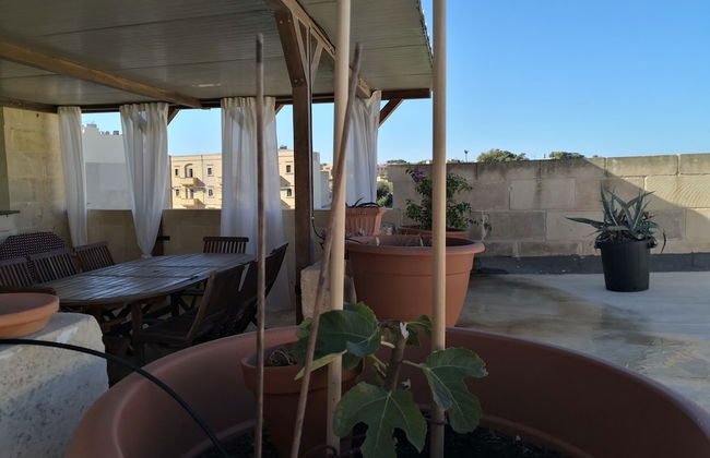 Casa Laeta - Foto 22