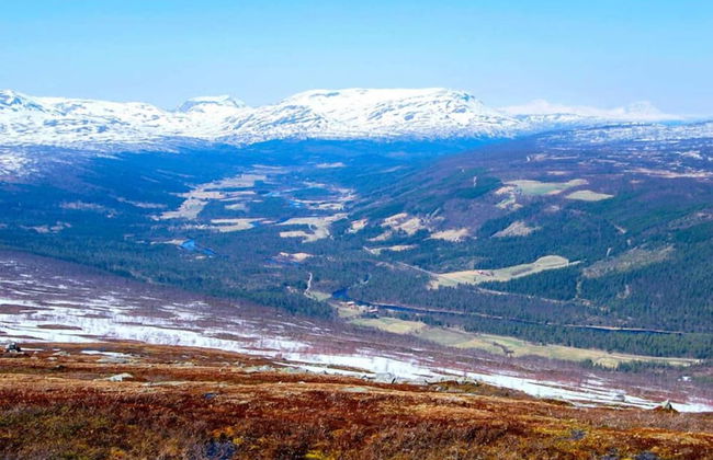 Furuheim Gard - Foto 9