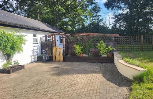 Little Apples - Foto 1