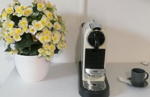 Vivila - Al Lucernario - Foto 6