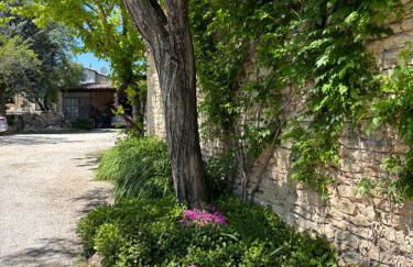 Les Juliens - Foto 20