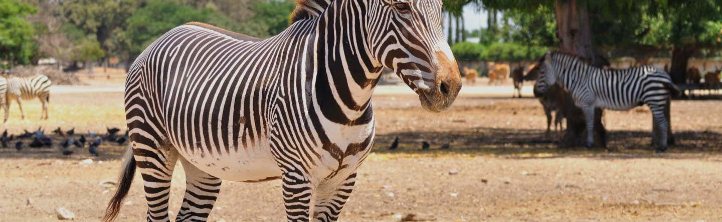 Bioparque Estrella Trip - Foto 1