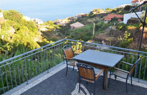 Descobrir Madeira - Foto 11