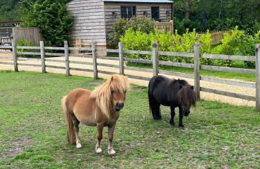 Sunset Retreat - Photo 14