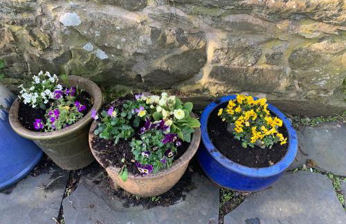 Beudy Dolpebyll - Photo 43