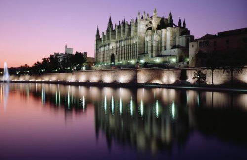 Can montis - Photo 19