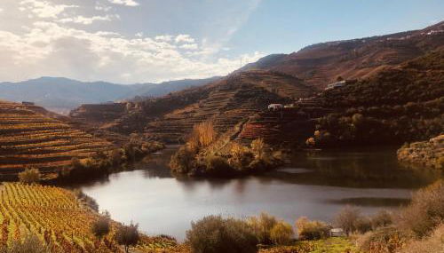 Castas do Douro - Foto 3