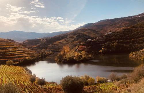 Castas do Douro - Foto 3