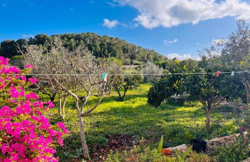 Villa Es Puig, piscina y vistas a la montaña - Foto 16
