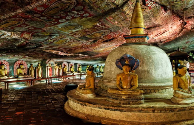 Alquiler de coche con conductor en Colombo - Foto 7