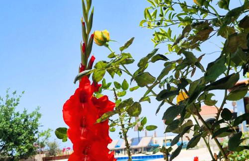 Infinity Wellness Apartment Hotel - Foto 134