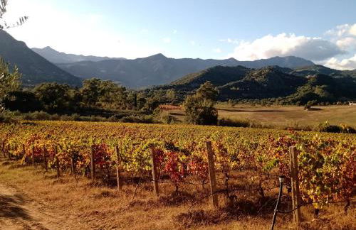 Sa Perda Arrubia - Foto 9