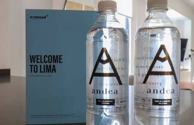 Amazing 1BR in San Isidro - Foto 6