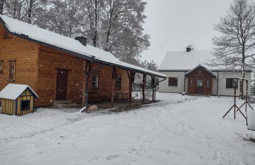 Kolorowe Wzgórze agroturystyka i konie - Foto 3