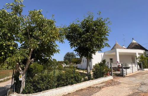 Casa Daniel - Foto 44