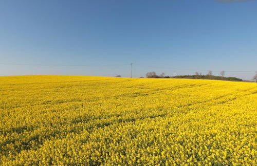 Schleiblick App 5 - Foto 11