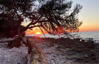 Apartment Enis - Photo 49