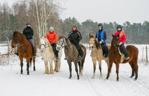 Kolorowe Wzgórze agroturystyka i konie - Foto 20
