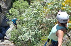 Quinta do Passal - Foto 65