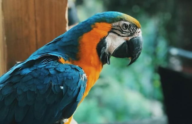 Casa de Montaña Villa Maya - Foto 16