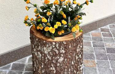 Ciasa Erica - Val di Non - Foto 50