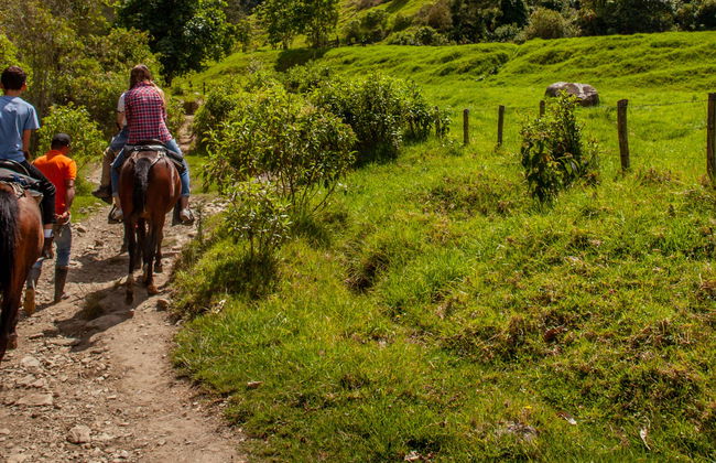 Paseo a caballo por Jardín - Photo 1