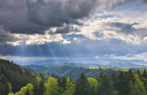 Ferienhaus Samy - Foto 20