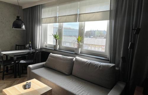 Luksusowy loft nad jeziorem Swarzędz - Poznań TV wi-fi pralko-suszarka piekarnik - Foto 2