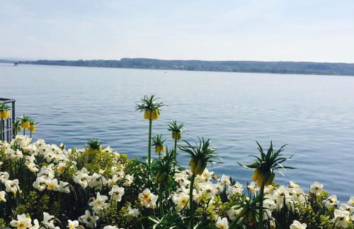 Ferienwohnung am Bodensee - Foto 28