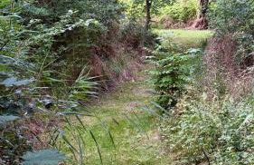 Idyllische Ferienwohnung an der Nordsee- Alte Schule Süllwarden - Foto 21