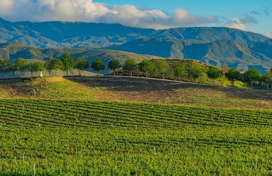 Your Home Away From Home near Wineries & Old Town - Foto 62