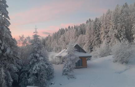 Domki Krynica - Foto 10