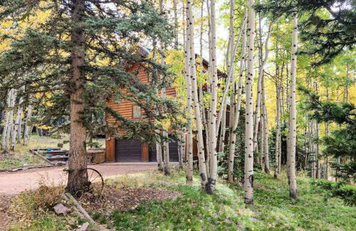 Pikes Peak Retreat - Photo 51