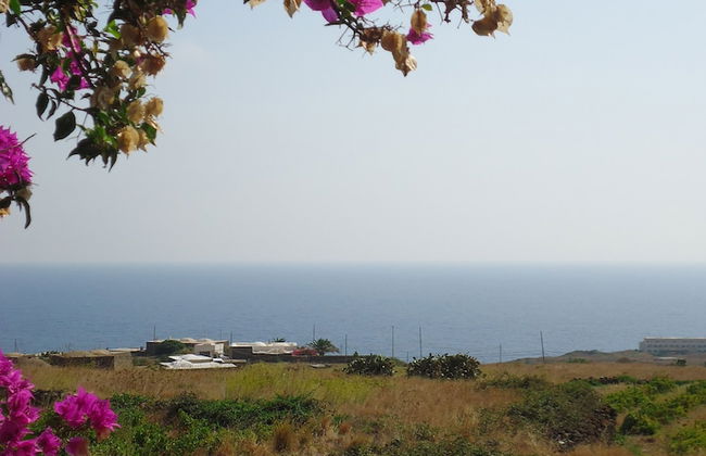 Agriturismo Zibibbodoro - Foto 36