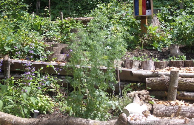 Roomantic Apartments - Photo 53