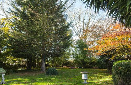 Calm Private Annex in Ashford - Foto 30