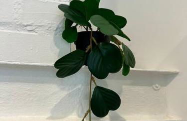 Appartement Cosy Saint-Chamond - Foto 15