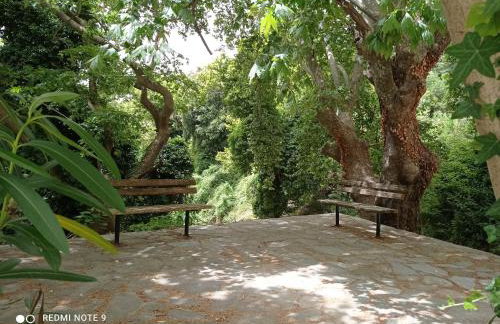 Marina Traditional Stonehouse - Foto 38