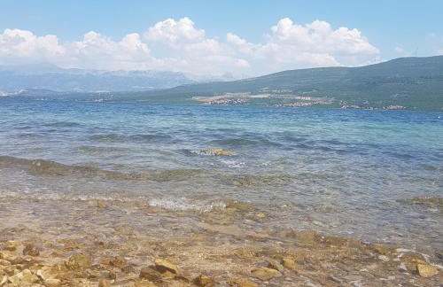 Apartment 51 - Photo 4